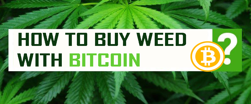 buy weed online with bitcoin, are jeeter juice carts real, Buy Jeeter Juice Carts, is jeeter juice real, jeeter juice, jeeter juice banana kush, jeeter juice blue banana, jeeter juice blue zkittlez, jeeter juice blueberry kush, jeeter juice box, jeeter juice cart, jeeter juice cartridge, jeeter juice cartridge battery, jeeter juice cartridge price, jeeter juice cartridge review, jeeter juice carts, jeeter juice carts blueberry kush, jeeter juice carts disposable, jeeter juice carts fake, jeeter juice carts fire og, jeeter juice carts live resin, jeeter juice carts price, jeeter juice carts reddit, jeeter juice carts review, jeeter juice dispo, jeeter juice disposable, jeeter juice disposable 1000mg, jeeter juice disposable fake, jeeter juice disposable flavors, jeeter juice disposable live resin straw review, jeeter juice disposable price, jeeter juice disposable review, jeeter juice disposable straw, jeeter juice disposables, jeeter juice fire og, jeeter juice gelato, jeeter juice horchata, jeeter juice ice cream banana, jeeter juice liquid diamonds, jeeter juice live resin, jeeter juice live resin disposable, jeeter juice live resin disposable review, jeeter juice live resin fake, jeeter juice live resin price, jeeter juice live resin review, jeeter juice live resin straw, jeeter juice packaging, jeeter juice papaya, jeeter juice pen, jeeter juice purple punch, jeeter juice review, jeeter juice sfv og, jeeter juice straw, jeeter juice strawberry cheesecake, jeeter juice straws, Jeeter Juice THC, jeeter juice tropicana cookies, jeeter juice vape, what is jeeter juice,jeeter pre roll , jeeter pre rolls , jeeter infused , buy jeeter pre roll online, buy jeeter pre rolls online, jeeter infused pre roll, jeeter infused pre roll review, jeeter xl pre roll, baby jeeter pre rolls, jeeter pre rolls, baby jeeter infused pre rolls, baby jeeter pre rolls price, jeeter pre rolls website, jeeter pre rolls near me, jeeter infused pre rolls, baby jeeter pre rolls near me, jeeter pre rolls price, jeeter pre rolls review, baby jeeter pre rolls review, fake jeeter pre rolls, who owns jeeter pre rolls ,where to buy jeeter pre rolls,little jeeter pre rolls,baby jeeter pre rolls infused, baby jeeter pre rolls flavors, jeeter pre rolls flavors, jeeter juice pre rolls,best baby jeeter pre rolls